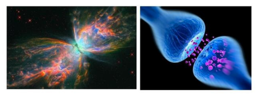 Una conexión neuronal comparada con el contacto entre dos galaxias